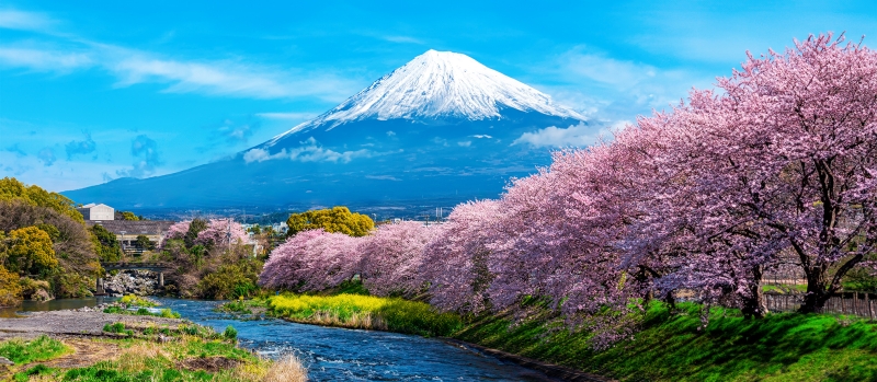 Подъём на гору Фудзи в Японии будет платным